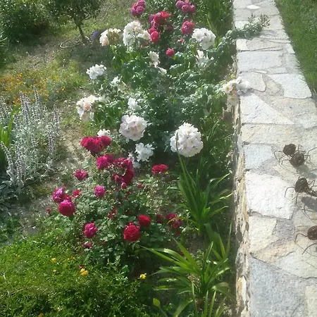 La Mimosa Del Golfo לינה וארוחת בוקר 3*