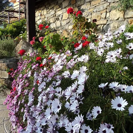 La Mimosa Del Golfo 3*