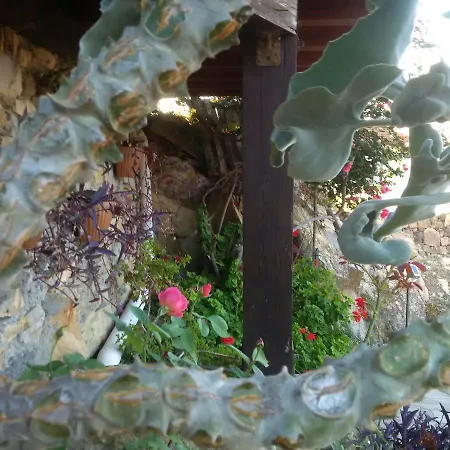 La Mimosa Del Golfo 3* Ospedaletti