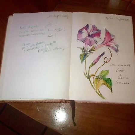 Alojamento de Acomodação e Pequeno-almoço La Mimosa Del Golfo Ospedaletti