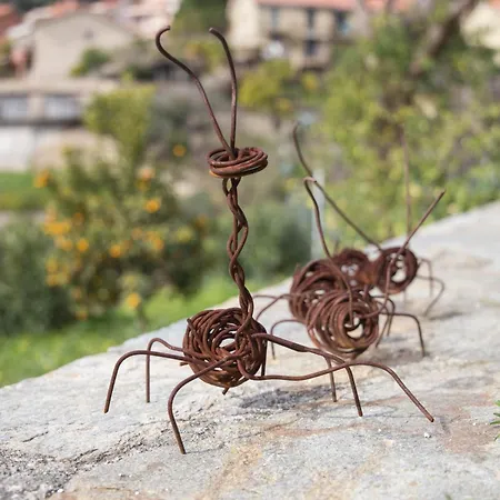 La Mimosa Del Golfo 3*