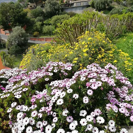 La Mimosa Del Golfo Ospedaletti