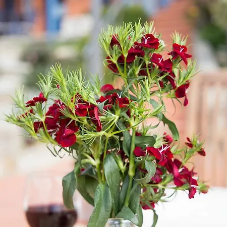 La Mimosa Del Golfo 3*