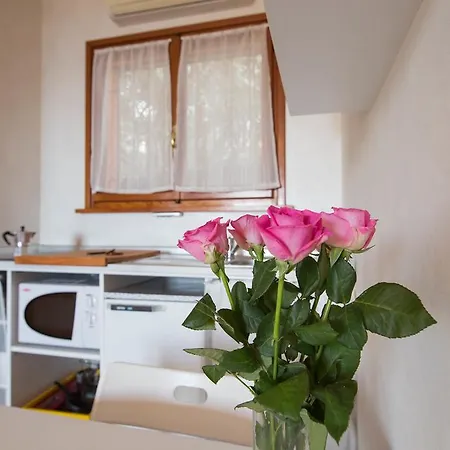 Bed and breakfast La Mimosa Del Golfo 3*