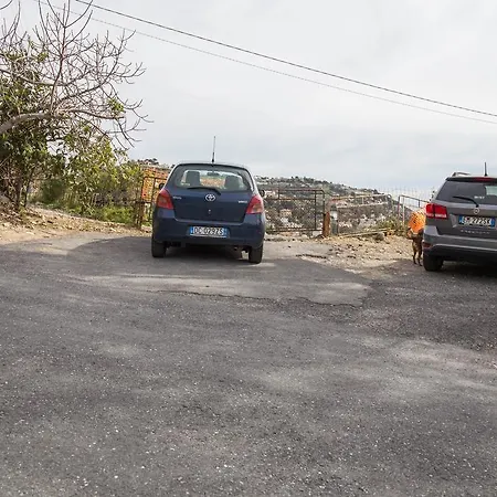 La Mimosa Del Golfo