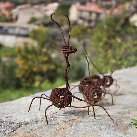 La Mimosa Del Golfo 3*