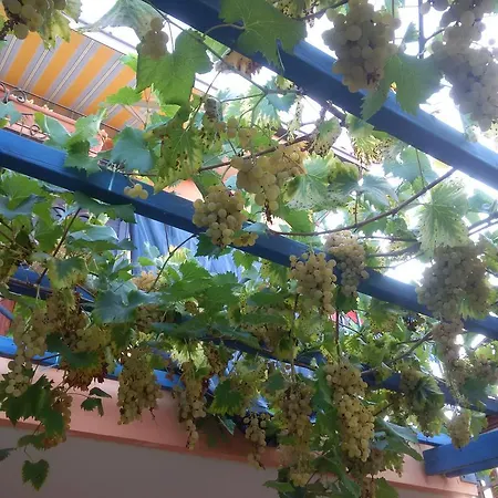 Nocleg ze śniadaniem La Mimosa Del Golfo 3*