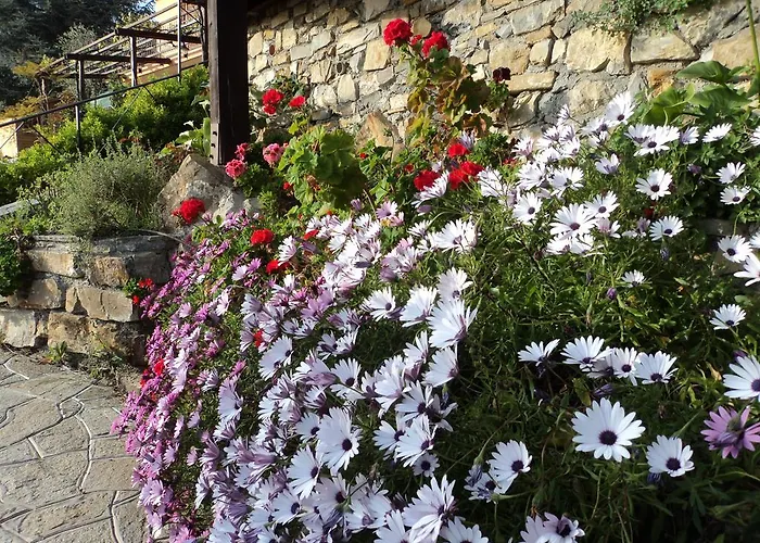 La Mimosa Del Golfo 3*