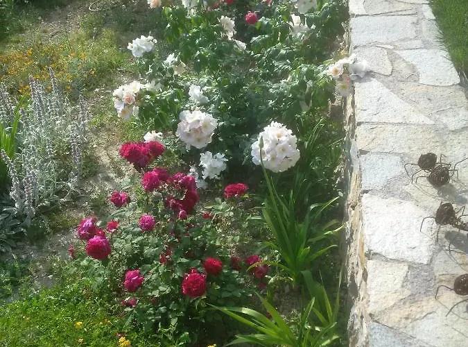 La Mimosa Del Golfo Bed & Breakfast 3*