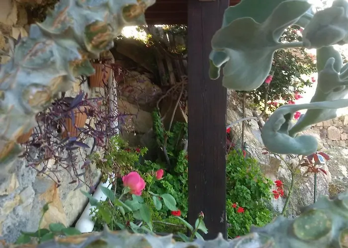 La Mimosa Del Golfo 3* Ospedaletti