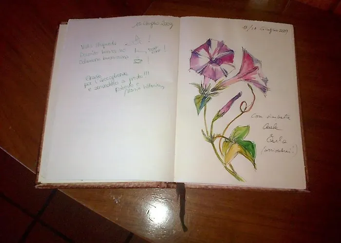 Bed & Breakfast La Mimosa Del Golfo Ospedaletti