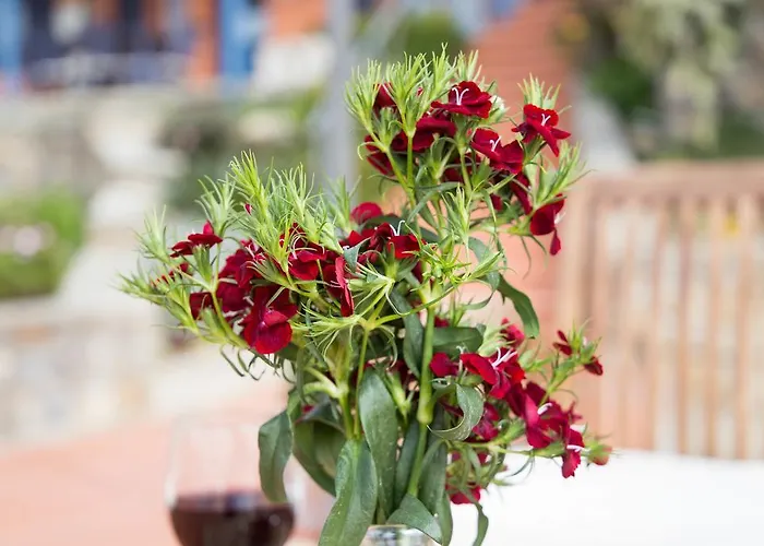 La Mimosa Del Golfo 3*