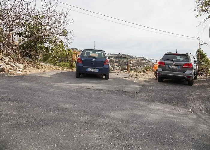 La Mimosa Del Golfo