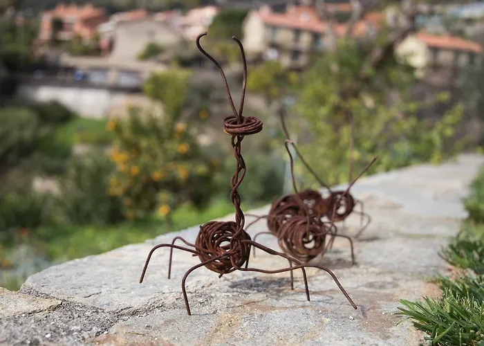 La Mimosa Del Golfo 3*